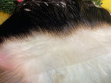 FRONTALS